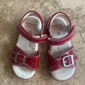 Pediped toddler sandals